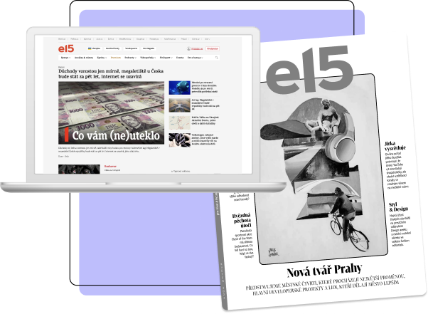 Media website and newspaper layout comparison for E15 case study